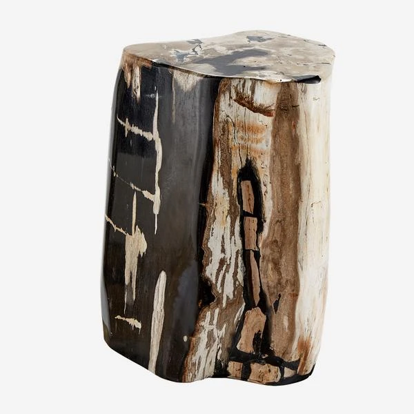 Petrified Log Side Table Or Stool