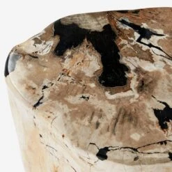 Petrified Log Side Table Or Stool -Andrew Martin Sale Store 204609 petrified log stool detail 1