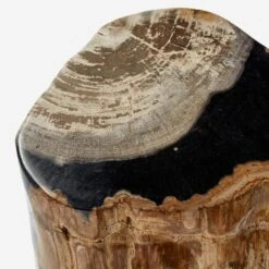 Petrified Log Side Table Or Stool -Andrew Martin Sale Store 204610 petrified log stool detail 3