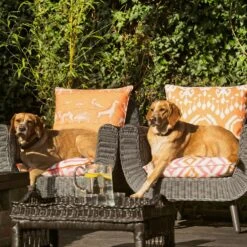 Volcano Lava Outdoor Outdoor Cushion -Andrew Martin Sale Store 215229 kingdom lava volcano lava