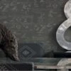 Pythagoras Charcoal Wallpaper -Andrew Martin Sale Store 216324 pythagoras wallpaper lifestyle 3