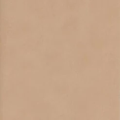 Japan Blush Wallpaper