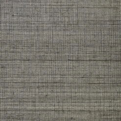 Kongo Feather Wallpaper