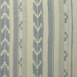 Indus Denim Fabric