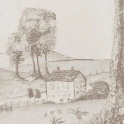 Mythical Land Clay Wallpaper -Andrew Martin Sale Store 325254 mythical land clay close 3