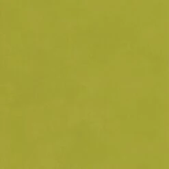 Japan Citrus Wallpaper -Andrew Martin Sale Store 61986 japan citrus