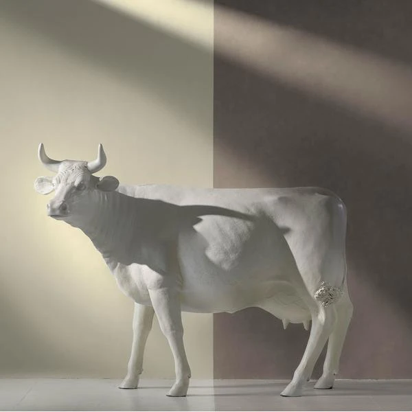 Japan Ivory Wallpaper 2 Japan Ivory Wallpaper - Image 2